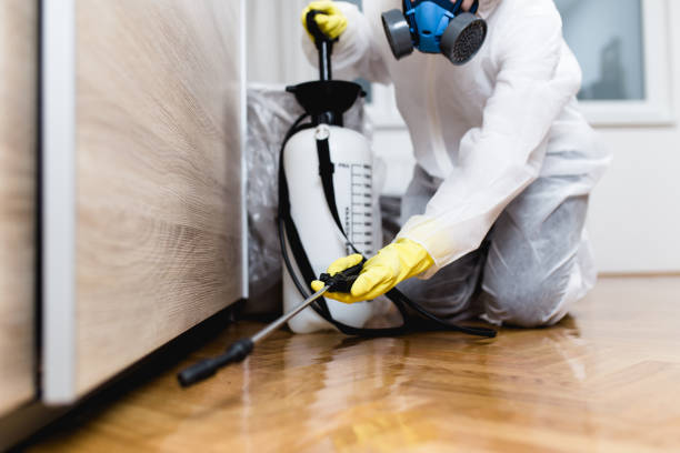 Best Pest Inspection Near Me  in Hidden Meadows, CA