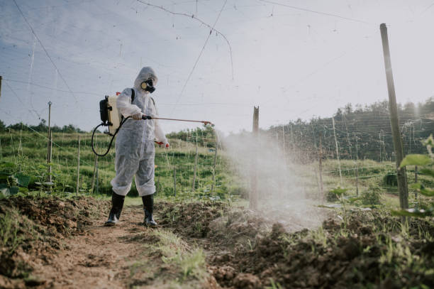Best Ant Control Services  in Hidden Meadows, CA