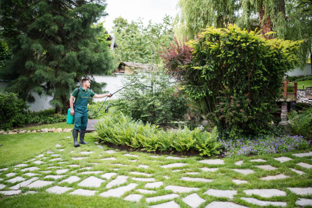 Best Best Pest Control Companies  in Hidden Meadows, CA