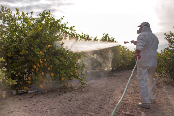 Best Emergency Pest Control  in Hidden Meadows, CA