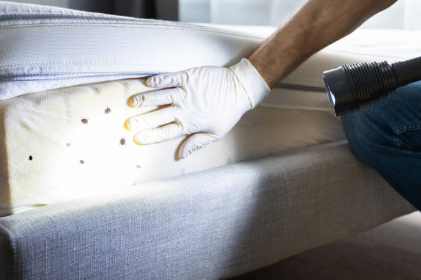 Best Pest Control Near Me  in Hidden Meadows, CA