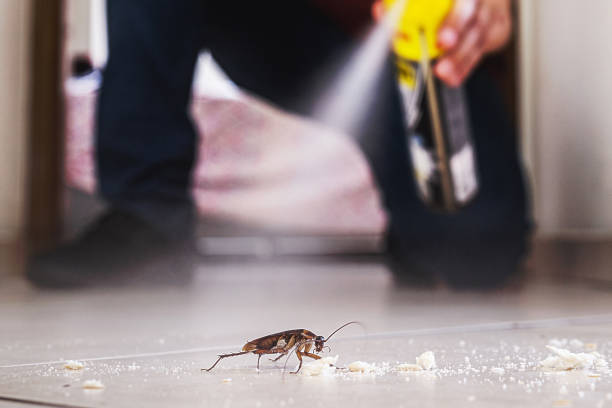 Best Best Pest Control Companies  in Hidden Meadows, CA