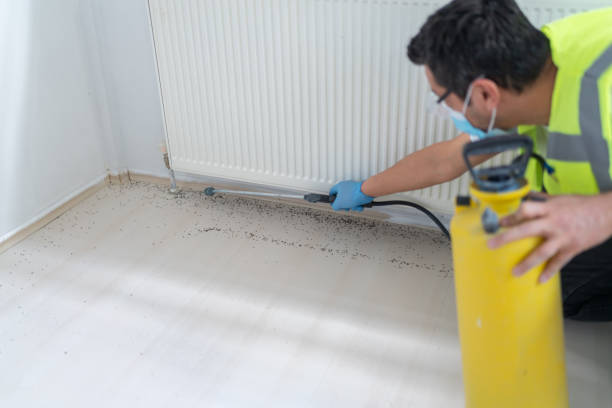 Best Local Pest Control Services  in Hidden Meadows, CA